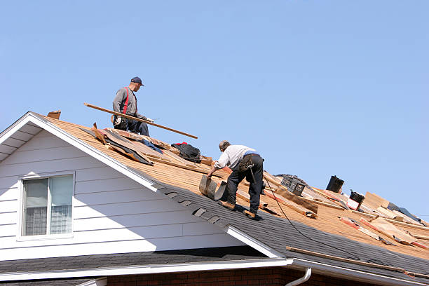 4 Ply Roofing in Fort Lupton, CO